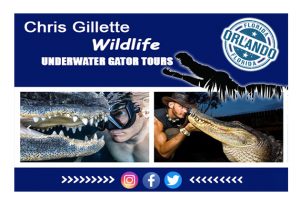 Chris Gillette – Wildlife Underwater Gator Tours